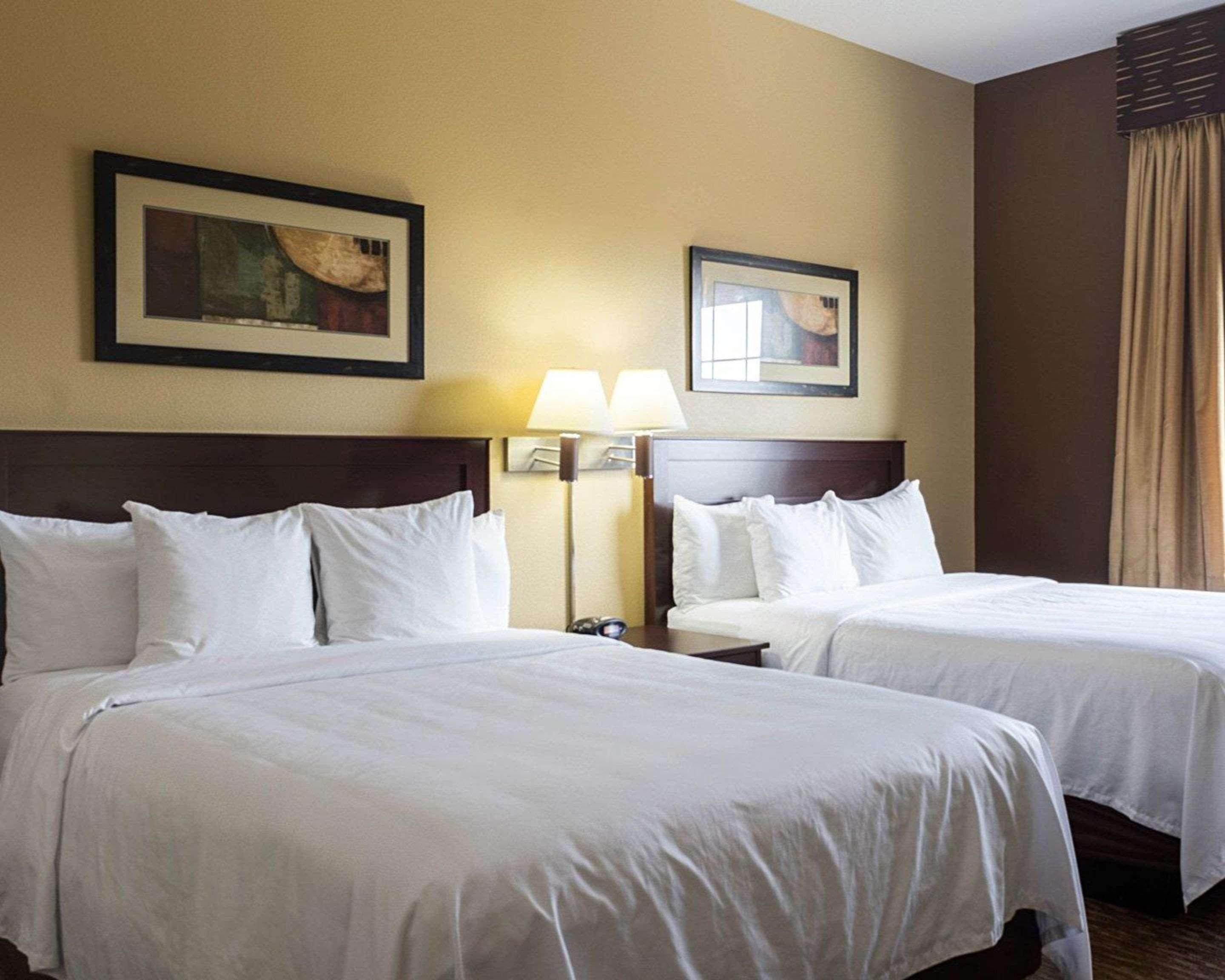 Mainstay Suites Minot Buitenkant foto