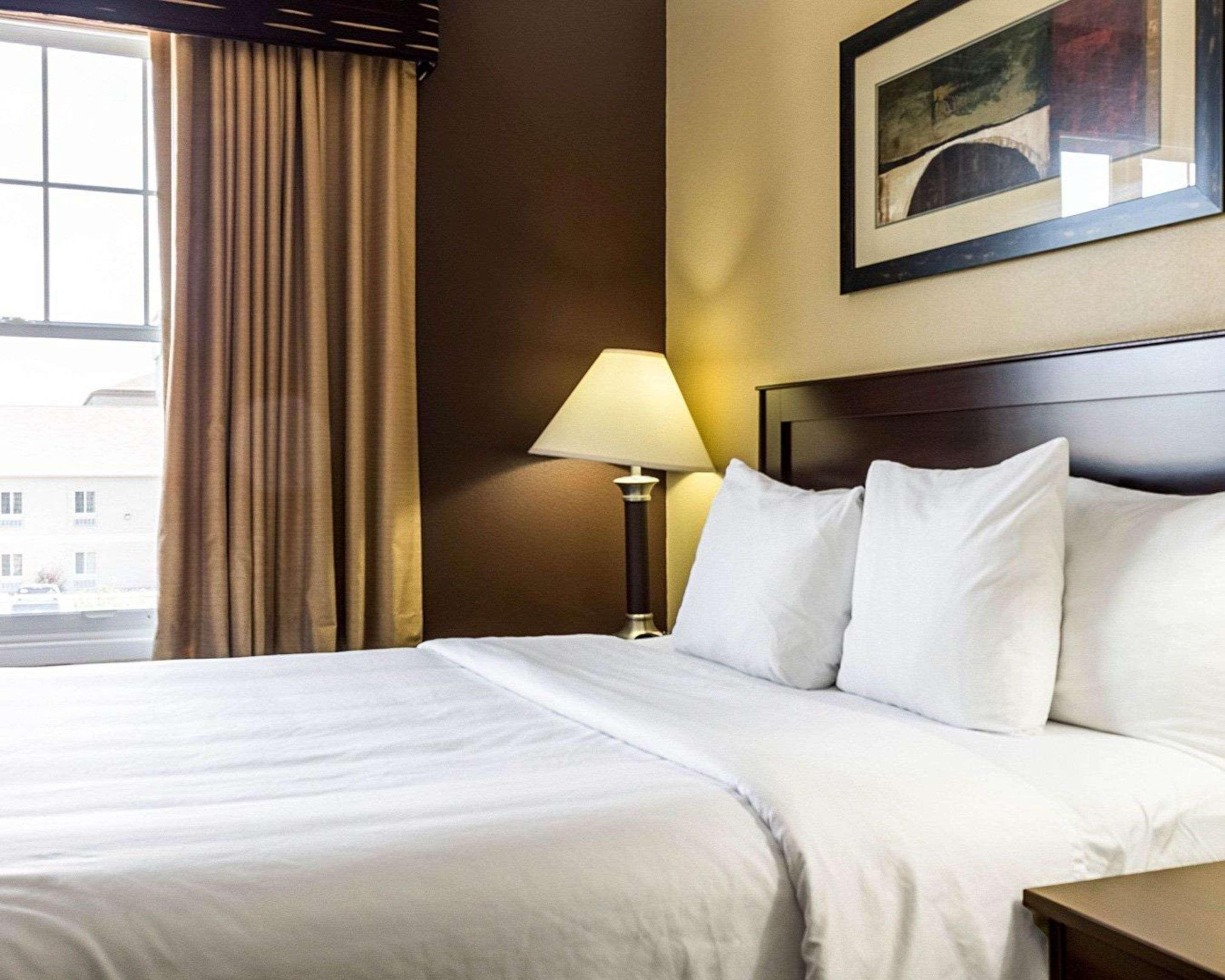 Mainstay Suites Minot Buitenkant foto