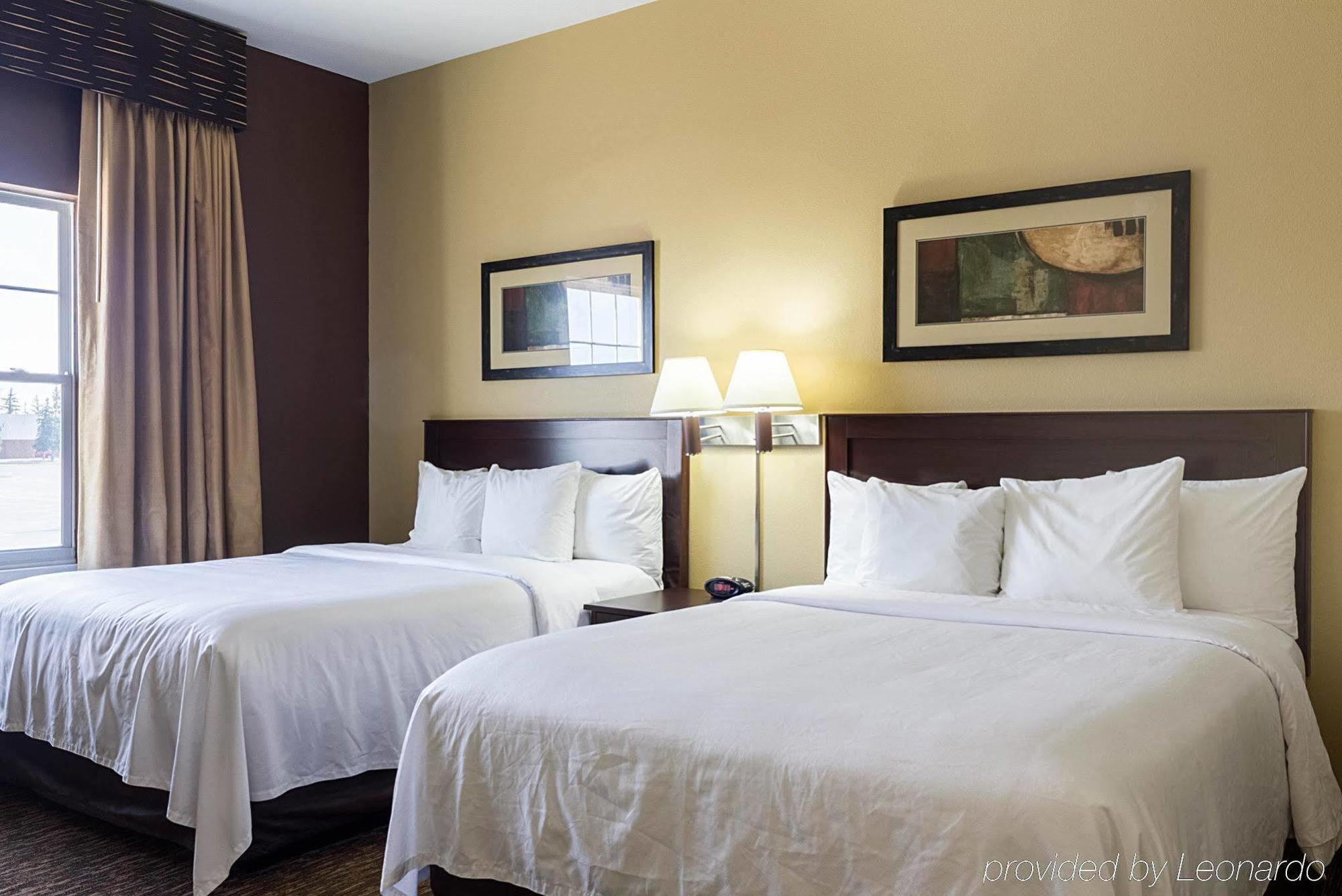 Mainstay Suites Minot Buitenkant foto